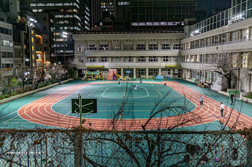 备师球