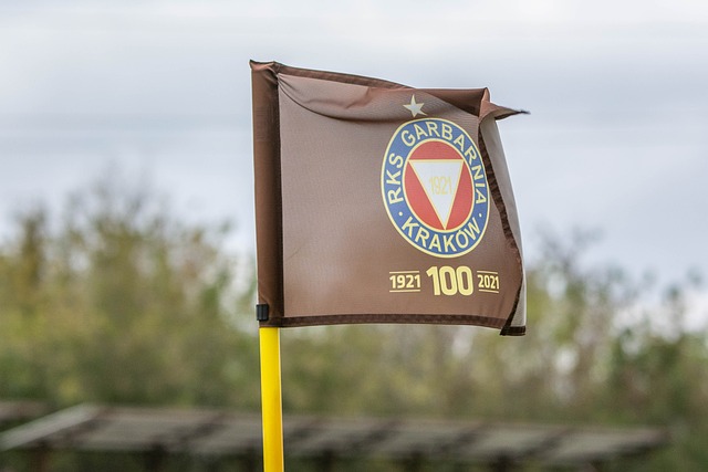 庫明加的高 庫明加的高