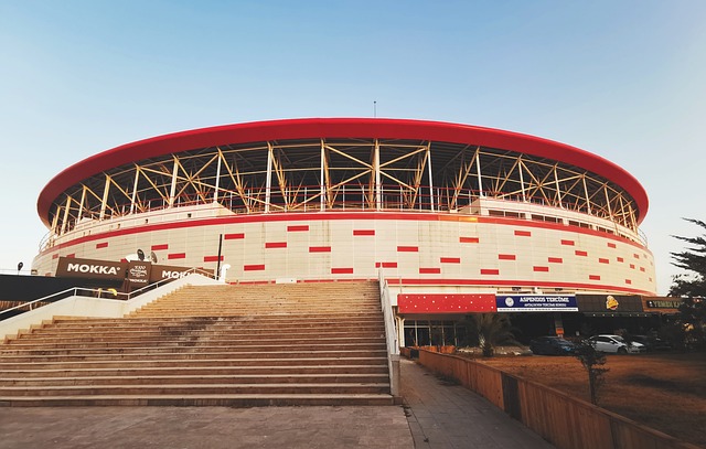 活多变的进 活多变的进